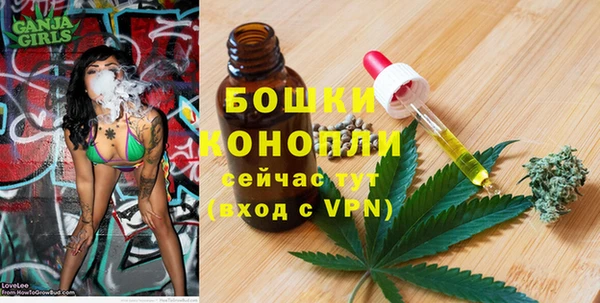мяу мяу мука Алагир