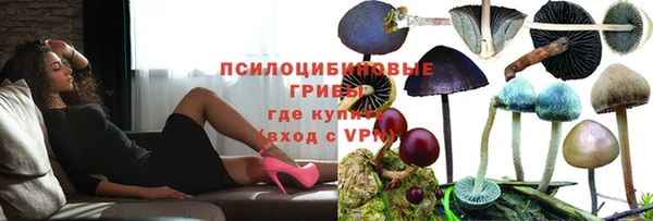шишки Алексин