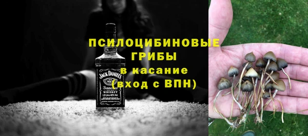 шишки Алексин