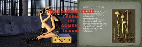 МДПВ Алзамай