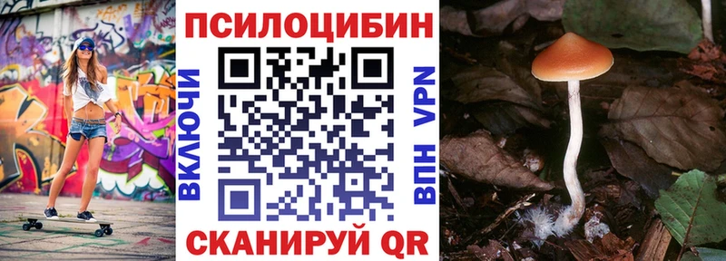 OMG ссылки  Кореновск  Псилоцибиновые грибы MAGIC MUSHROOMS  цена наркотик 