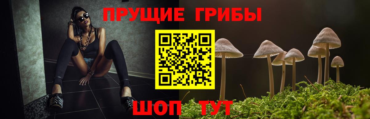 Псилоцибиновые грибы прущие грибы Кореновск